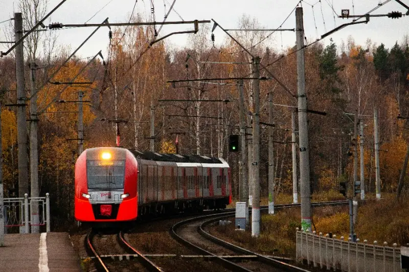 A red passenger train under overhead lines in a forest