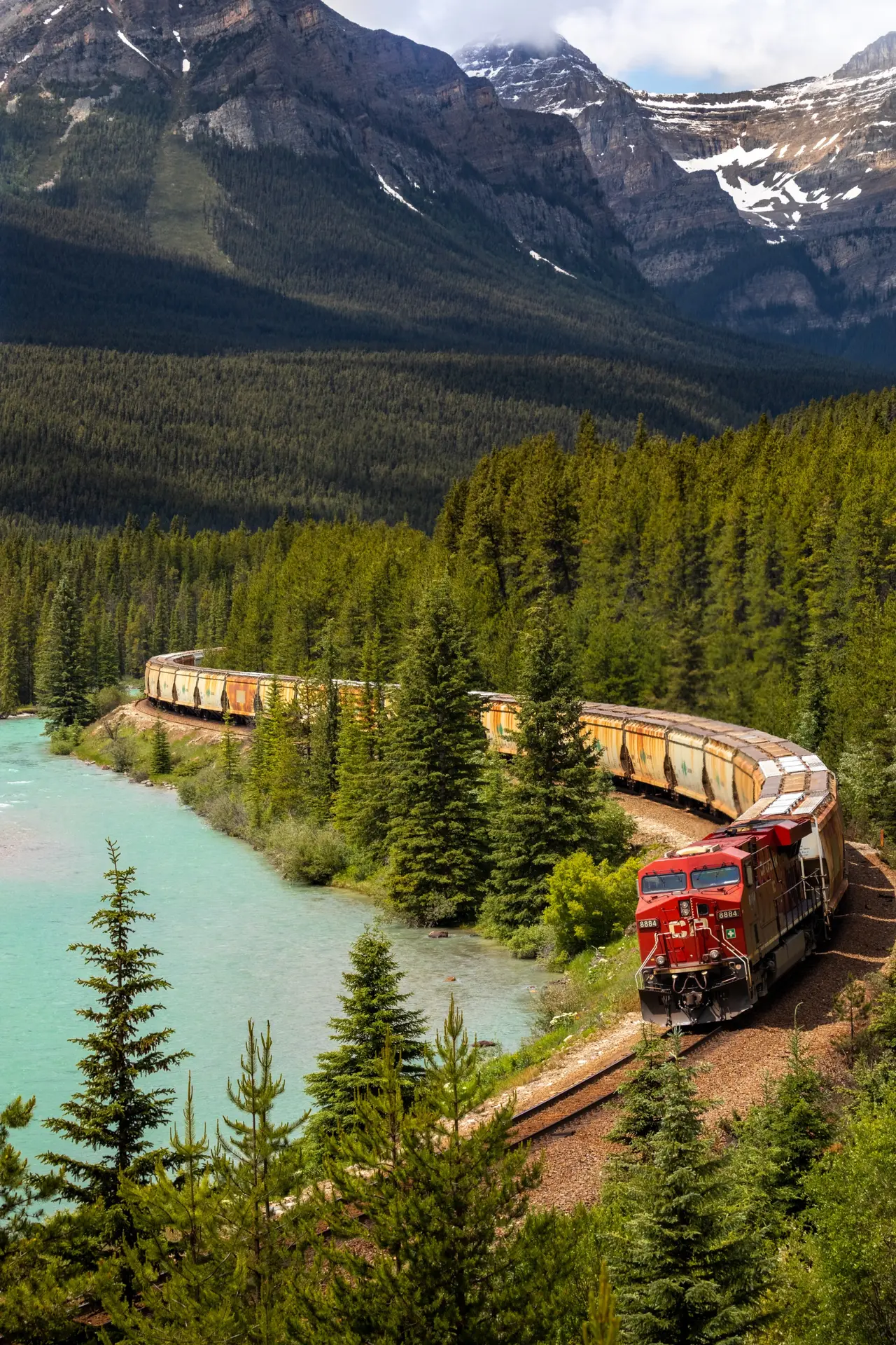 A freight train winding through a pine forest