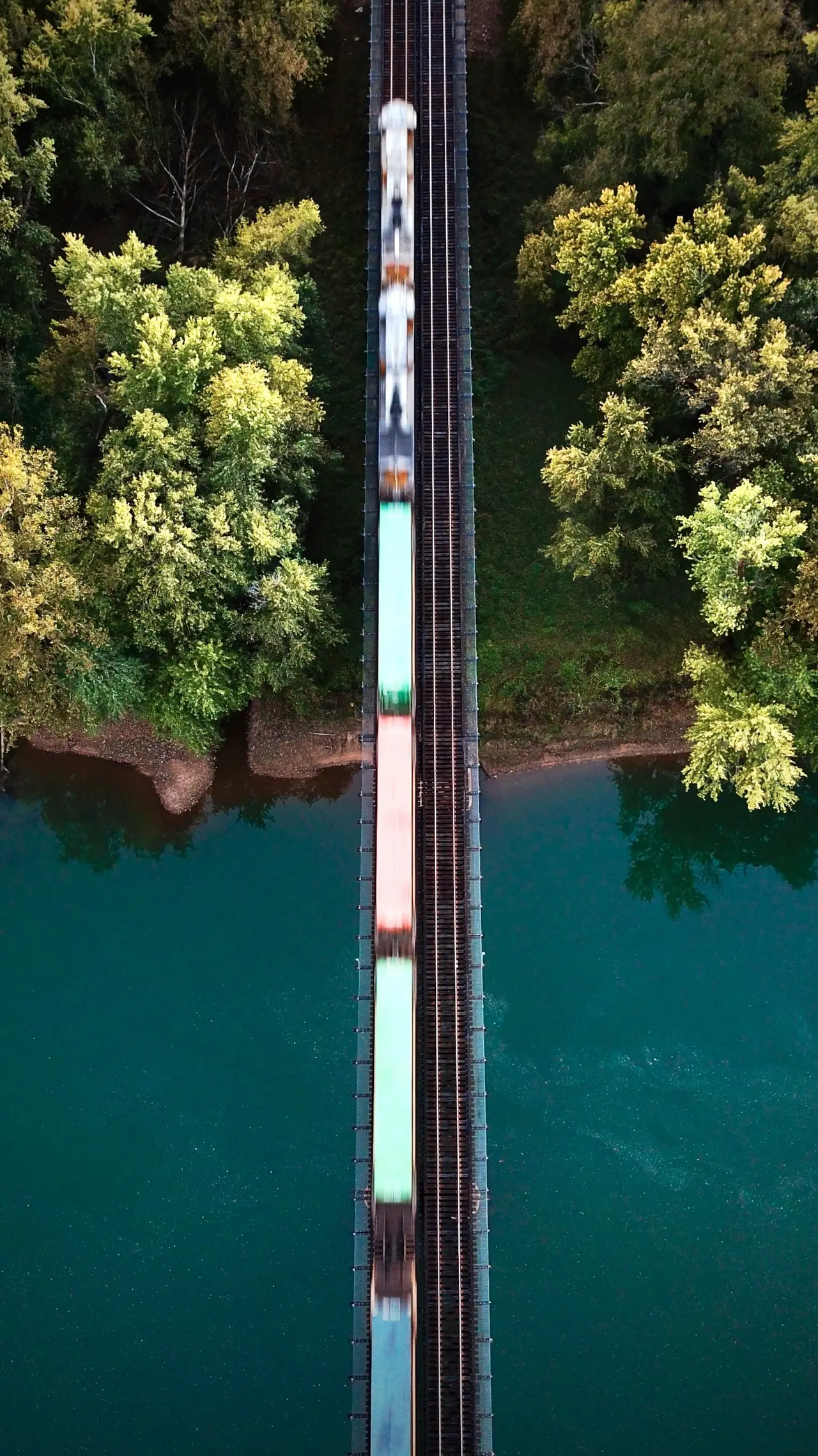 Aerial view of a railway line through a forest